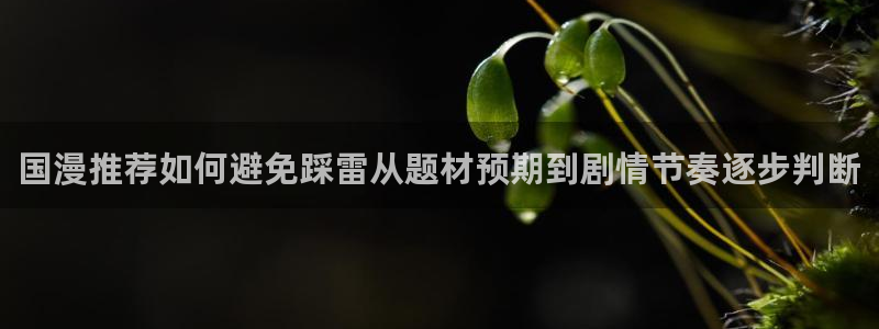 梦漫漫画客户端漫画大全：国漫推荐如何避免踩雷从题材预期到剧情节奏逐步判断