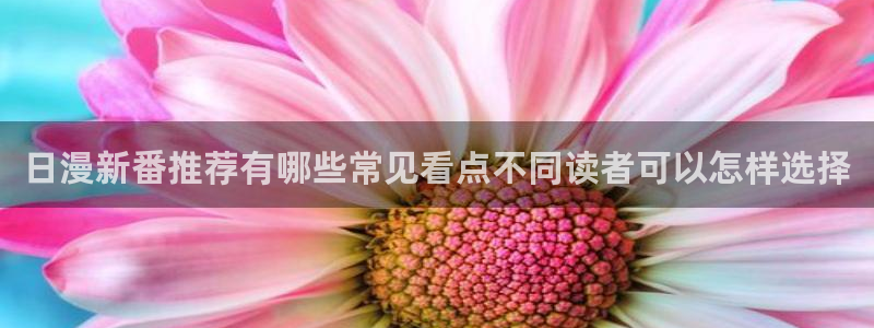 梦漫漫画在线阅读：日漫新番推荐有哪些常见看点不同读者可以怎样选择