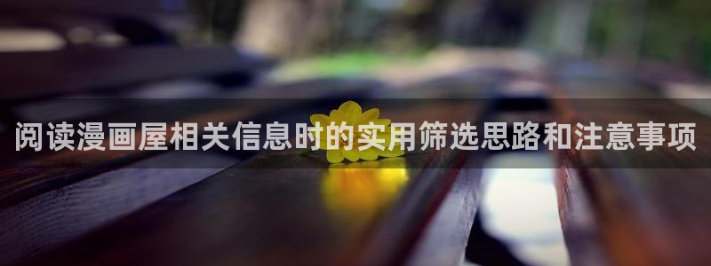 梦漫漫画漫画列表：阅读漫画屋相关信息时的实用筛选思路和注意事项