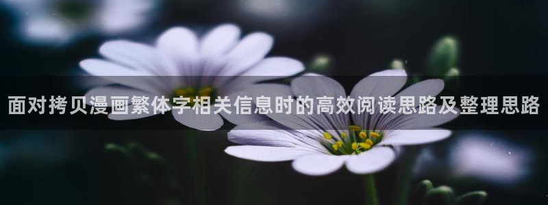 梦漫漫画最新漫画软件：面对拷贝漫画繁体字相关信息时的高效阅读思路及整理思路