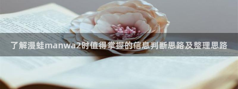 梦漫漫画软件热门漫画：了解漫蛙manwa2时值得掌握的信息判断思路及整理思路
