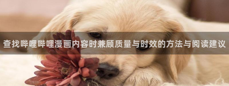 梦漫漫画热度榜：查找哔哩哔哩漫画内容时兼顾质量与时效的方法与阅读建议