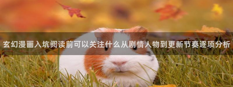 梦漫漫画动作漫画：玄幻漫画入坑阅读前可以关注什么从剧情人物到更新节奏逐项分析