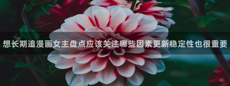梦漫漫画漫画内容：想长期追漫画女主盘点应该关注哪些因素更新稳定性也很重要
