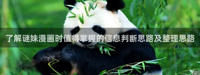 梦漫漫画推荐榜：了解谜妹漫画时值得掌握的信息判断思路及整理思路